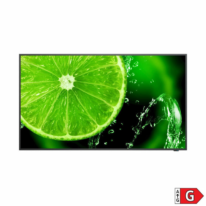 NEC LCD Monitor zeigt Limettenscheibe mit IPS Direct-LED Anzeige - homely Family Shop