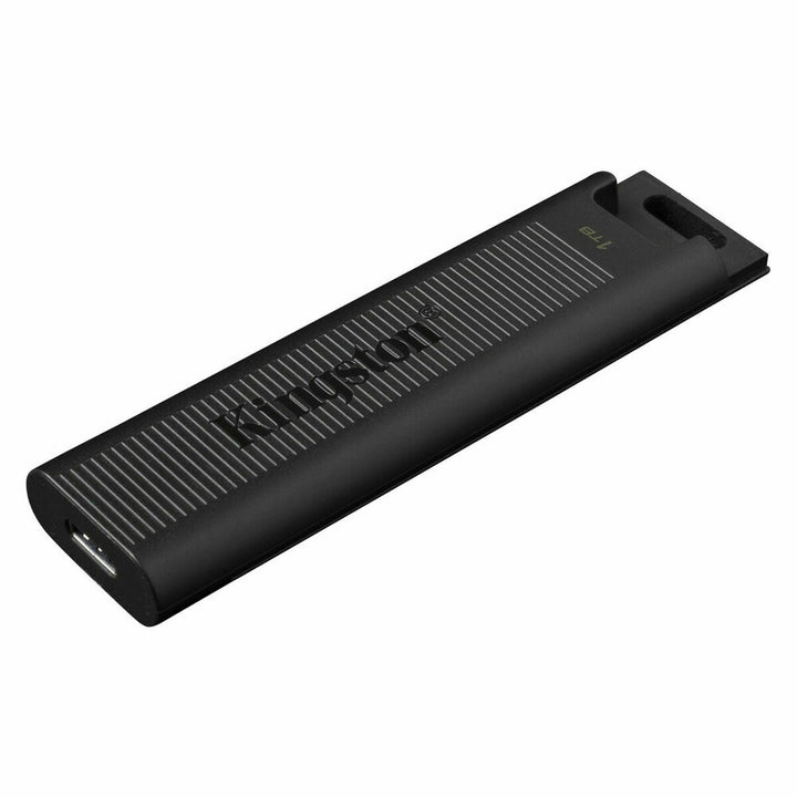Schwarzer Kingston DTMAX USB-Stick mit 1 TB Speicher - homely Family Shop