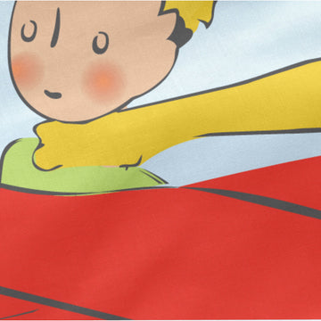 Detailansicht: Bunter Bettbezug mit Le Petit Prince und rotem Flugzeug.