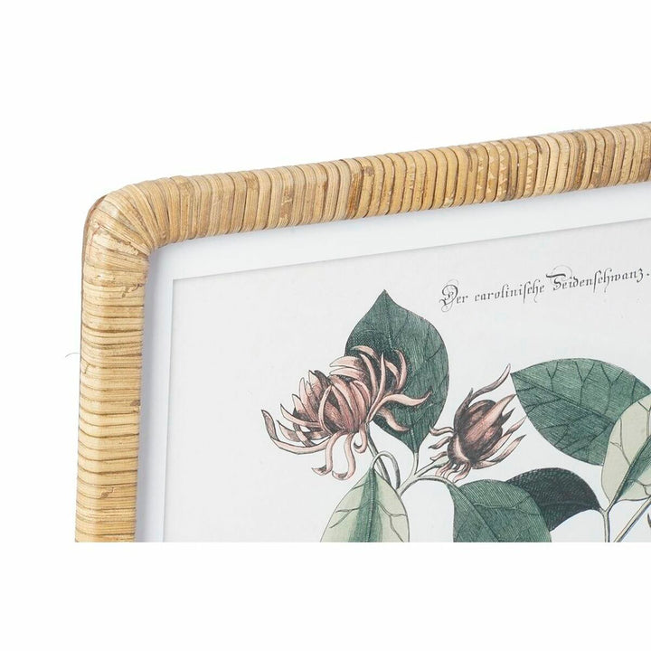 DKD Home Dekor Bild mit botanischen Pflanzen und Rattanrahmen - homely Family Shop