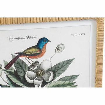 DKD Home Bild: Vogel und botanische Pflanzen im Shabby Chic Rahmen - homely Family Shop