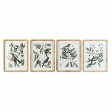 DKD Home Dekor Pflanzenbilder im Shabby Chic Stil mit botanischem Druck - homely Family Shop