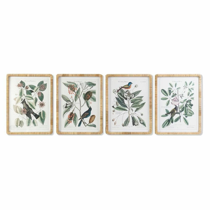 DKD Home Dekor Pflanzenbilder im Shabby Chic Stil mit botanischem Druck - homely Family Shop