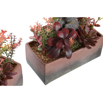 DKD Home Decor Dekorationspflanze mit Kaktus, rosa, orange. Moosgummi und Polypropylen Details.
