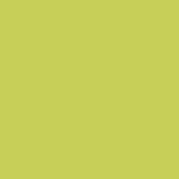Grünes Spannbetttuch für Einzelmatratze. Farbe: Grün.