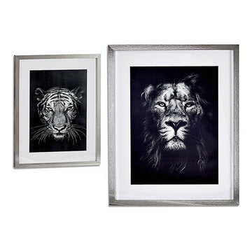 Gerahmte Tierbilder: Löwe und Tiger im Detail - homely Family Shop