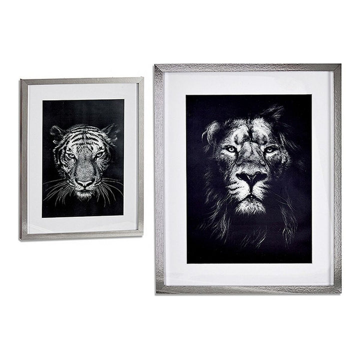 Gerahmte Tierbilder: Löwe und Tiger im Detail - homely Family Shop