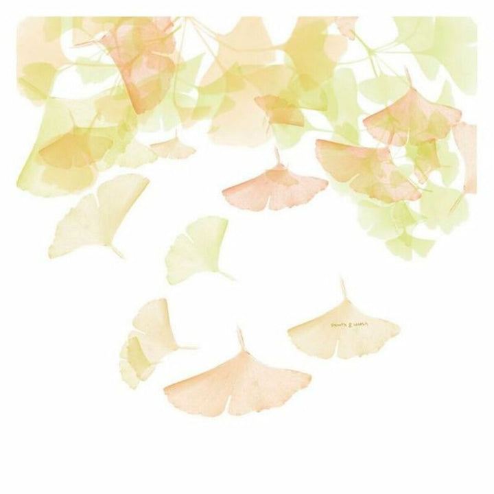Bettdeckenbezug mit Ginkgo Blätter Design. Zarte Farben und elegantes Muster.